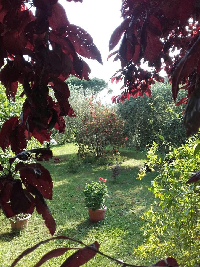 Aliso' Apartment Sarzana Exterior photo
